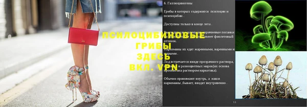 стафф Абаза