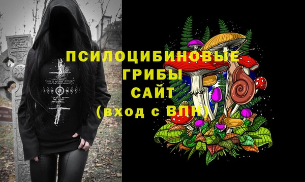 стафф Абаза