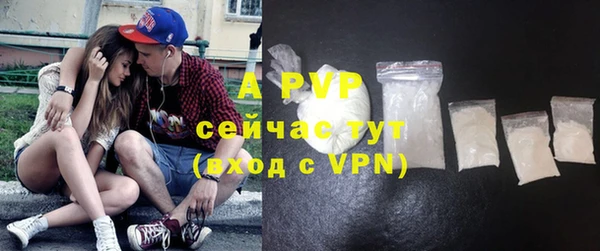 PSILOCYBIN Карталы